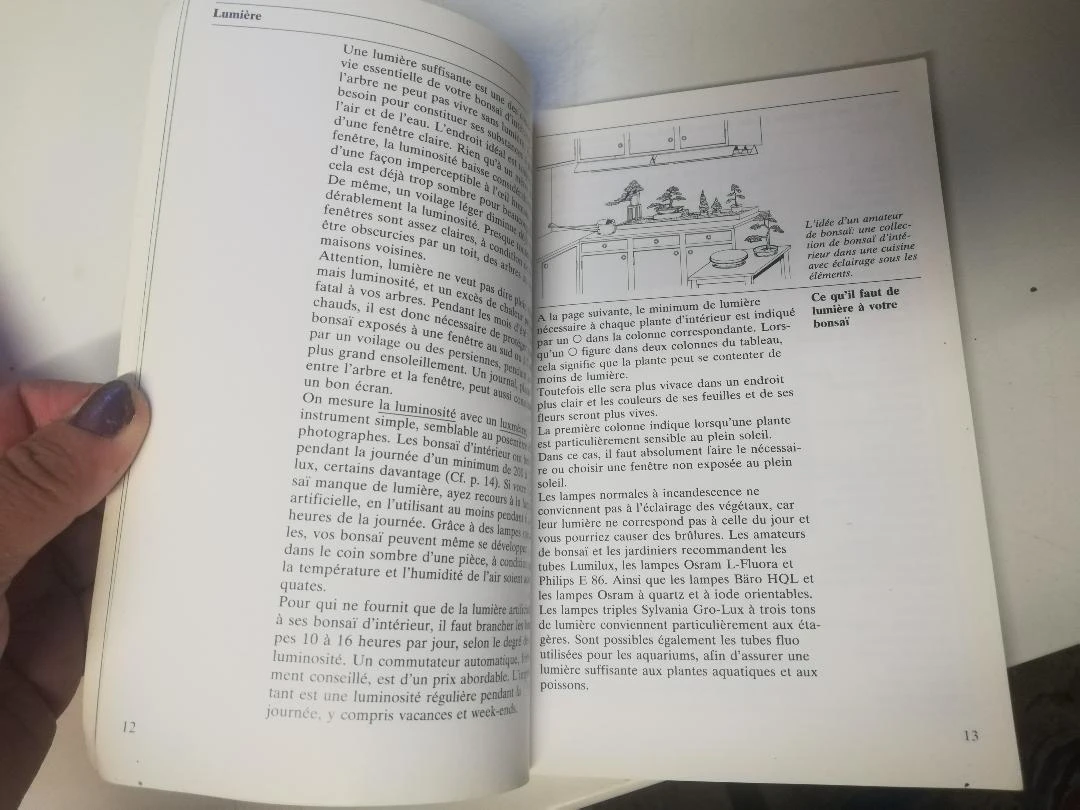 Book "INDOOR BONSAI" – photo 3